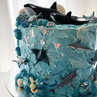 Torte Orcas