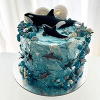 Torte Orcas